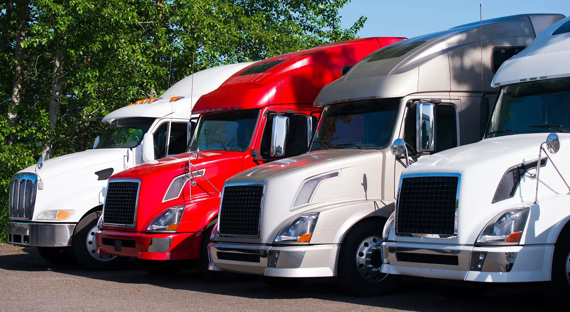 img/4199_looking-for-diecast-trucks-lets-talk-canadian-style-in-2024.webp