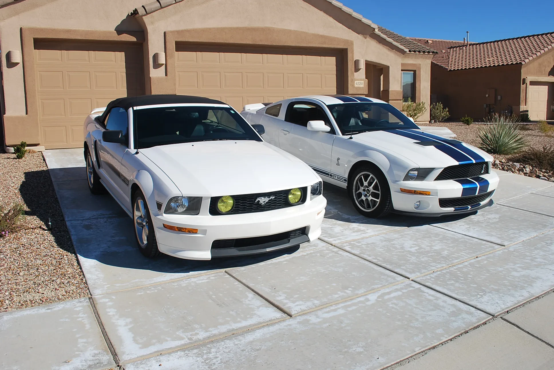 Mustang diecast collection