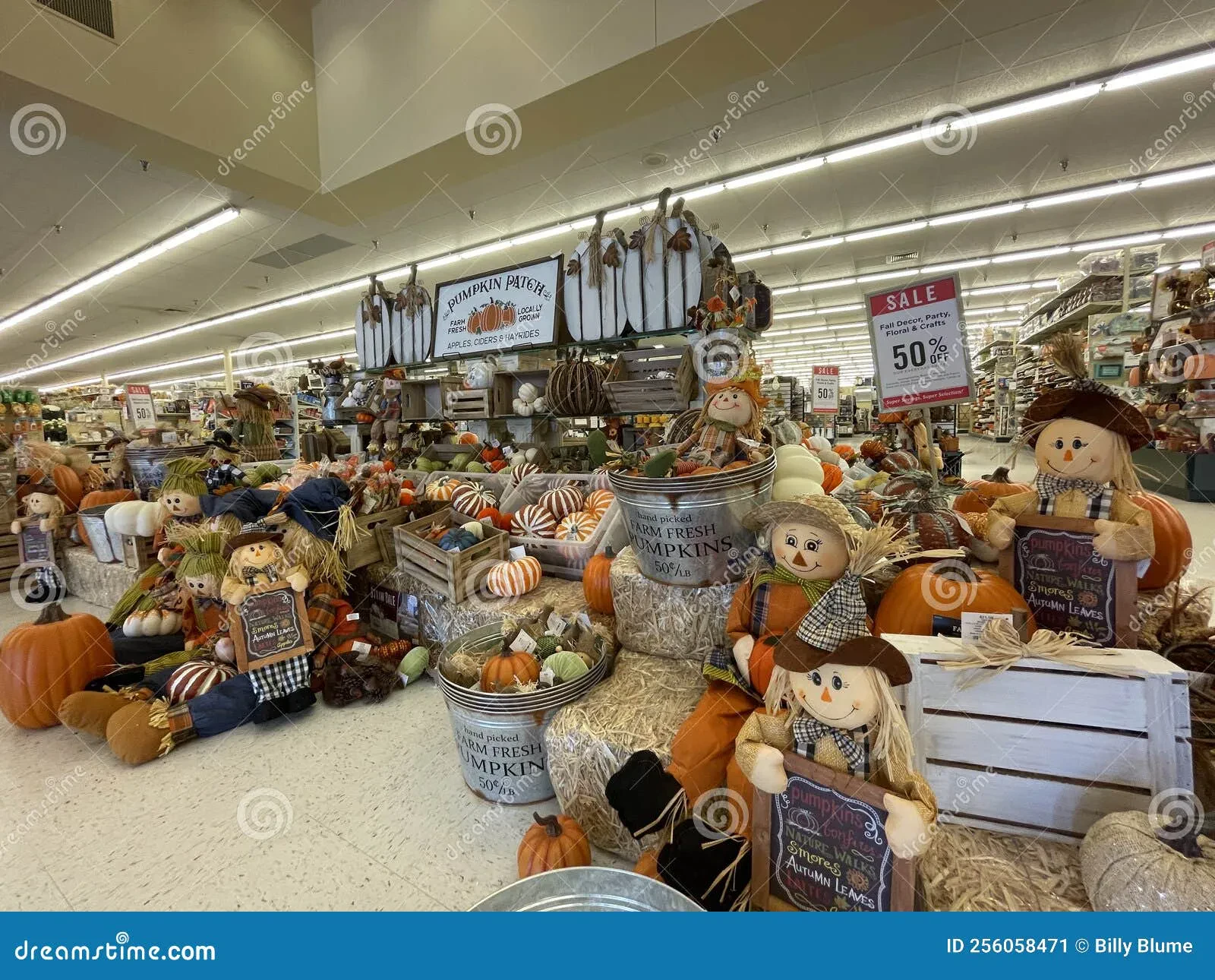 Hobby shop interior with diecast airplanes on display