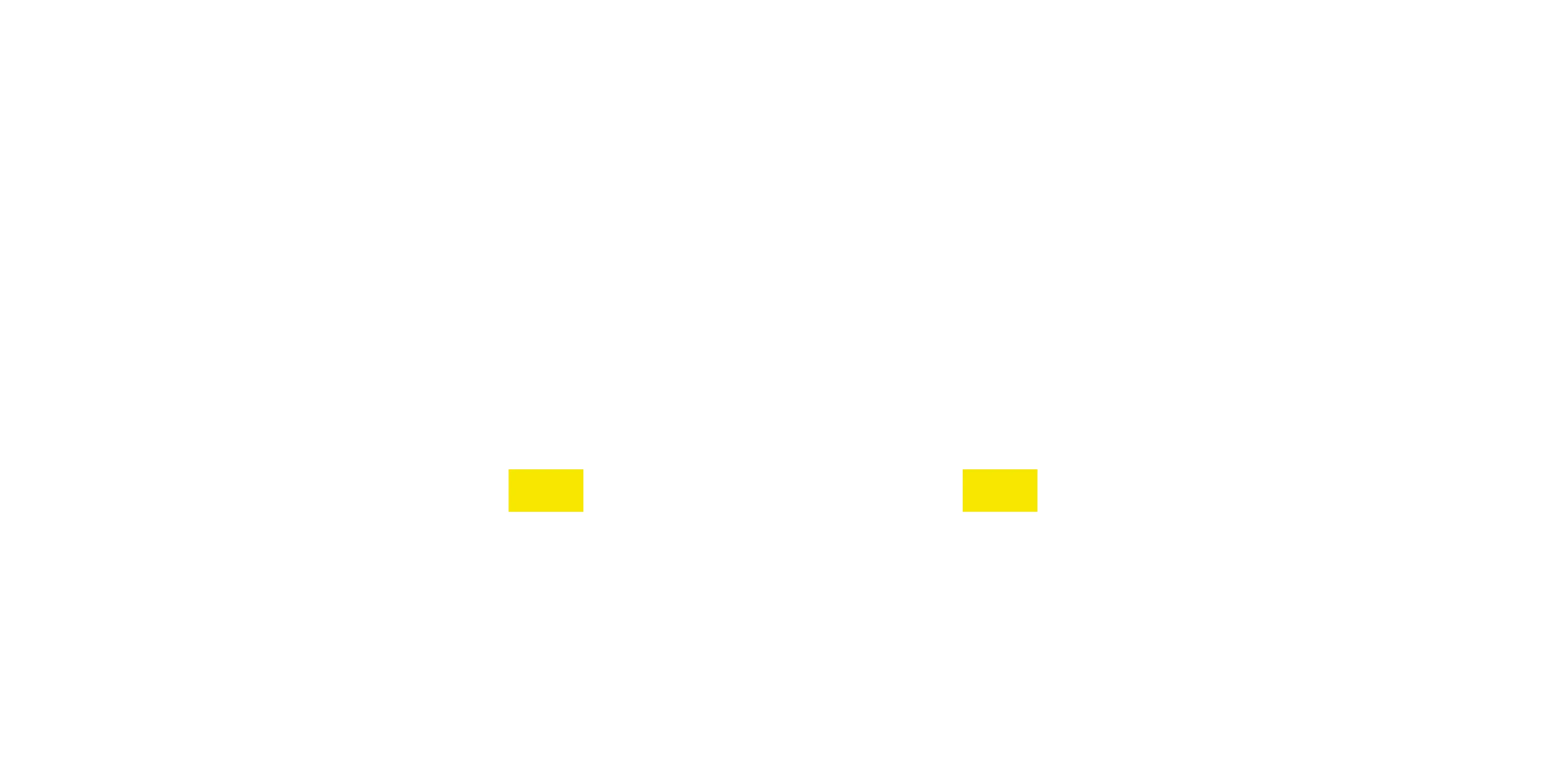 Bravo Diecast Plane