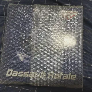 img/4167_dassault-rafale-diecast-models-a-collectors-dream.webp